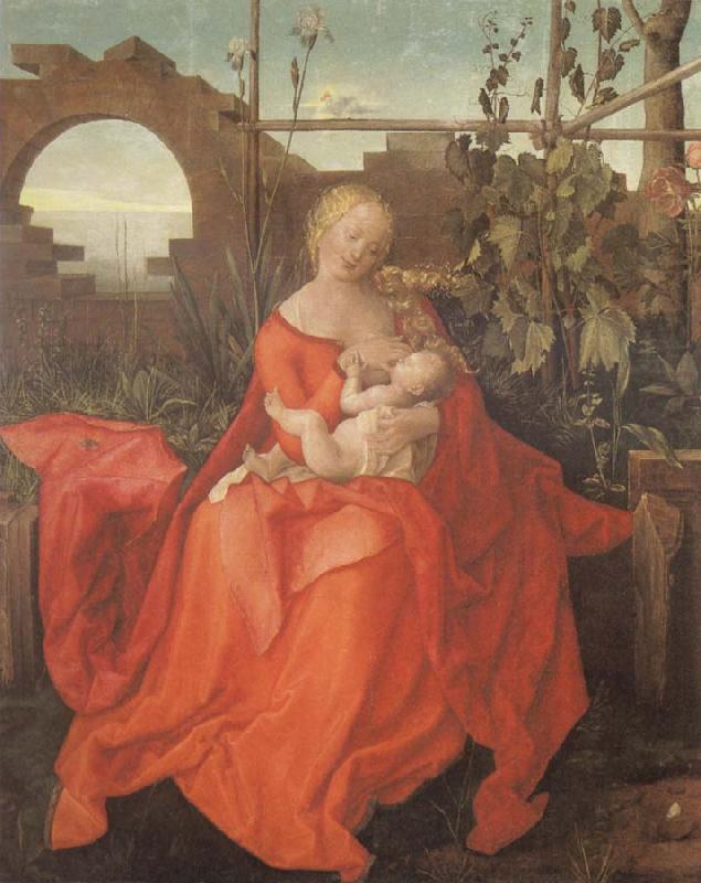 Albrecht Durer The Madonna with the Iris imitator of Albrecht Durer china oil painting image